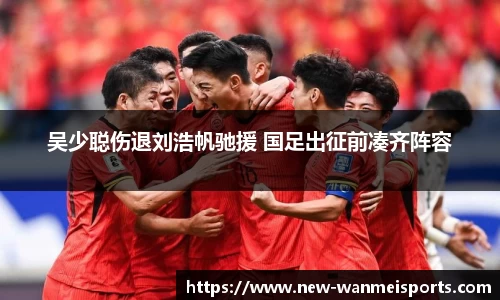 吴少聪伤退刘浩帆驰援 国足出征前凑齐阵容